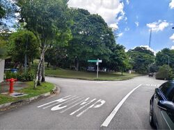 Tivoli Gardens (D19), Terrace #452054991